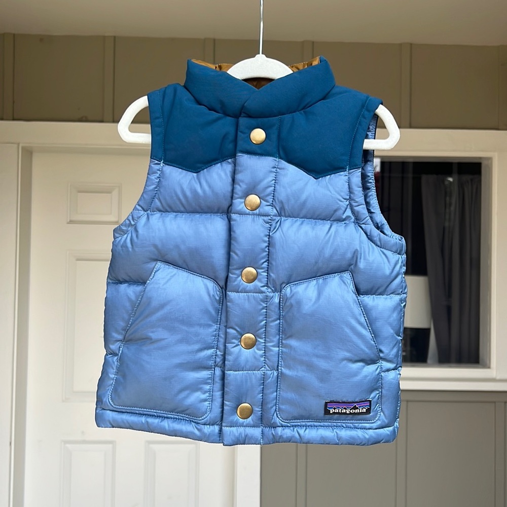 Patagonia Reversible Toddler Puffer Vest